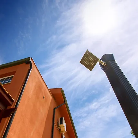 Gelso Bianco Campofelice Di Roccella