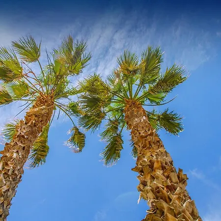 Appartement Gelso Bianco *