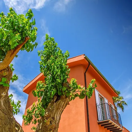 Gelso Bianco * Campofelice Di Roccella